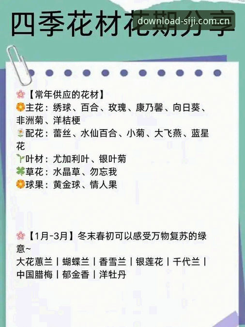 四季官方平台安卓版用户评价指引：新手安装与使用完整指南
